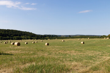 Vast green field dotted with round hay bales under a clear blue sky