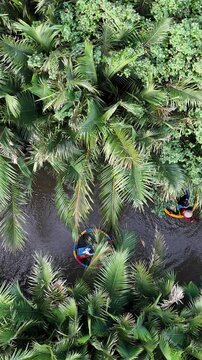Aerial Top Down View of Bamboo Basket Boats in Bay Mau Coconut Forest Hoi An Vietnam