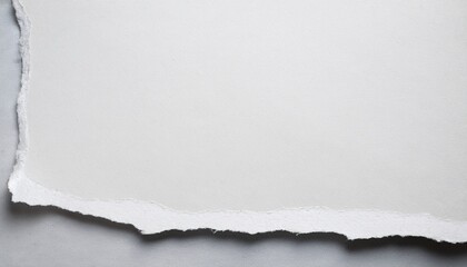 White Ripped Paper Edge Texture Overlay Background