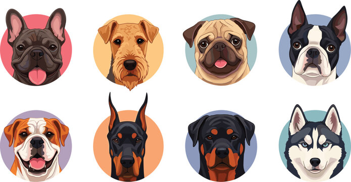 Professional Dog Breed Portrait Set Featuring Detailed Head Icons of French Bulldog Pug Doberman and Husky in Colorful Circle Backgrounds for Pet App Avatars