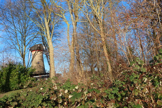 Windmill behind trees on sunny spring day