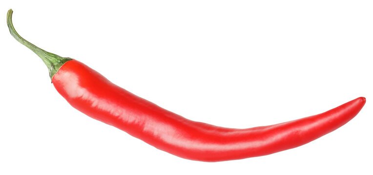 One red chili pepper isolated on white