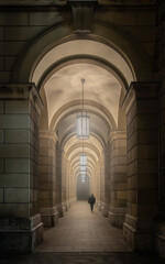 walking into dreams (clrd)