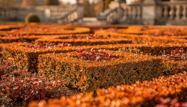 Closeup on a restored parterre with autumnal colors bright orange and red foliage crisply detailed while background garden structures softly fade away.