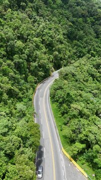 Vista a&eacute;rea da rodovia descendo a serra em meio &agrave; vegeta&ccedil;&atilde;o nativa, representando o principal acesso rodovi&aacute;rio ao litoral paulista.