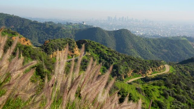 Scenic view from a dirt trail in Griffith Park, looking out over the vast, hazy cityscape of Los Angeles. An editorial shot capturing the urban sprawl and nature.