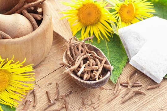 Elecampane or Inula dry roots in wooden spoon on rustic table, closeup, macro, natural medicine and naturopathy concept
