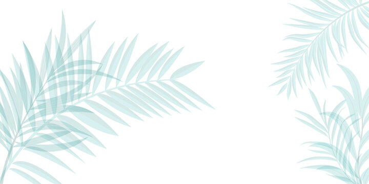 Abstract background of palm leaves or coconut leaves on top. Vector illustration of a tropical green leaf background. Summer Pattern Art | Background | Art