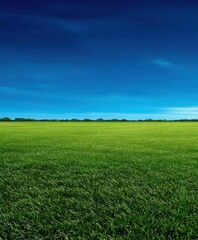 Fototapeta premium Green grass field under blue sky during daytime with horizon line