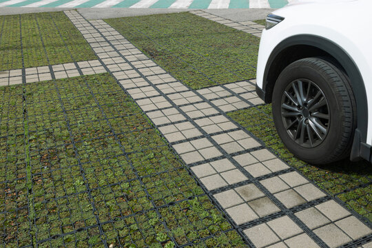 Parking &eacute;cologique v&eacute;g&eacute;talis&eacute;