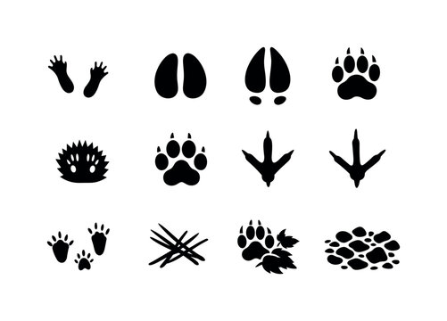 Forest Animal Tracks. Forest Animal Footprints. Solid icon set of Forest Animal Footprints: squirrel track, wild boar hoof print, elk hoof print, badger paw