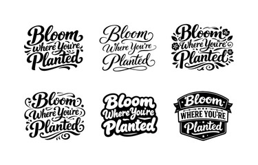 Fototapeta premium Harmonious Lettering Variations. Bloom Where You?re Planted. Set lettering. harmonious lettering variations of the same emblematic concept, each with different