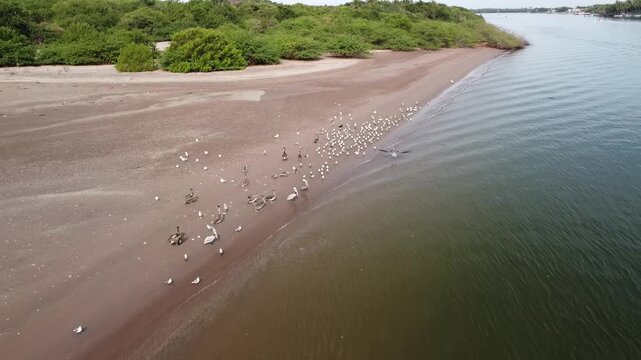 playa el borrego, San Blas Nayarit M&eacute;xico 28 de enero del 2026