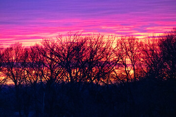 sunset over the field