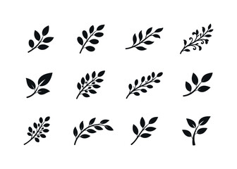 Obraz premium Natural Greenery Icons. Natural Greenery. Solid icon set of Natural Greenery: fresh leaf branch, soft foliage stem, curved plant branch, leafy ornament, eco
