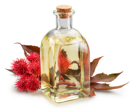 Bottle of castor oil and red spiny seed pods of Castor Bean on white background. File contains clipping paths.