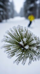 Frozen Pine Needles in Snowy Landscape.