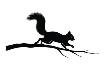 Obraz premium Squirrel Silhouette on Tree Branch