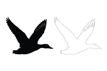 Flying duck, black silhouette and outline on white background