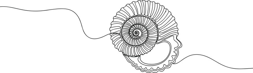 Obraz premium Vector illustration of spiral shell with concentric ridges and wavy line, natural symmetry concept, artistic fossil geometry design