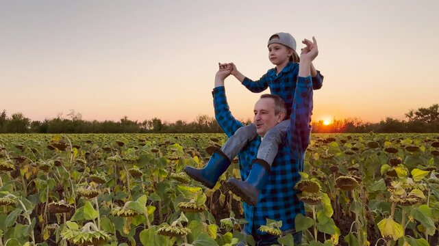 Dad and daughter adventure in nature, Sunset family photo in a field, Father supporting child s happiness, Joyful moment with dad and little girl, Golden hour family time, Sunflower field in the
