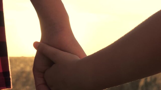 close up hands parent child, mother child wheat field sunset, holding hands sunset, happy family life, little child kid farmer, agriculture, attention tenderness son daughter boy girl, happy family