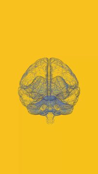 Mental health conceptual animation of healing brain