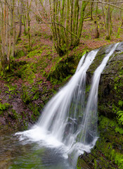 Obraz premium The Matxaingo ur-salto waterfall in Areso cascades down rocks and moss. The long exposure turns the water into white silk, capturing the natural peacefulness of Navarre.