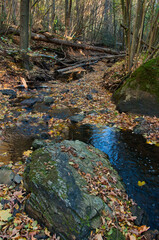Jesienny strumień w lesie z omszałymi skałami, opadłymi liśćmi i drewnianymi mostkami w rozproszonym świetle – rezerwat przyrody „Wąwóz Siedmicki”. © Pol Badger