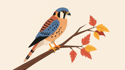 Fototapeta premium A kestrel perched on a branch with autumn leaves