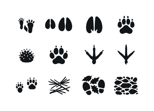 Forest Animal Tracks. Forest Animal Footprints. Solid icon set of Forest Animal Footprints: squirrel track, wild boar hoof print, elk hoof print, badger paw