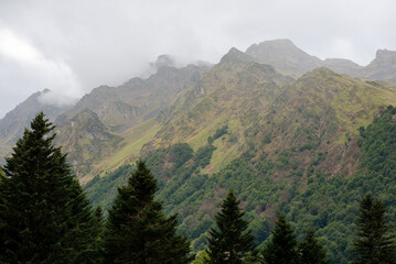 Obraz premium Misty mountain range above forested valley landscape