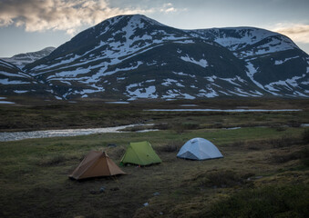 Obraz premium Three colorful tents stand on a grassy riverbank in Swedish Lapland, with snow patched mountains rising in the background along the Kungsleden trail