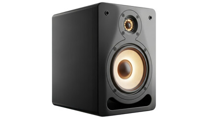 Obraz premium Black Studio Monitor Speaker