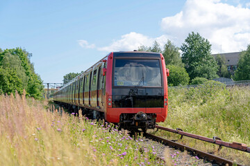 Obraz premium Modern red and black train rests on railway tracks, surrounded by vibrant tall green grass and purple wildflowers.