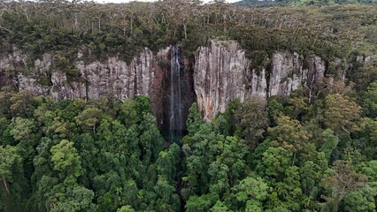 Rainbow Falls,  Springbrook National Park, Queensland, Australia, a magnifikat waterfall cascades downward, nestled within thriving green forests and rugged, natural rocky terrain. © Friedrich