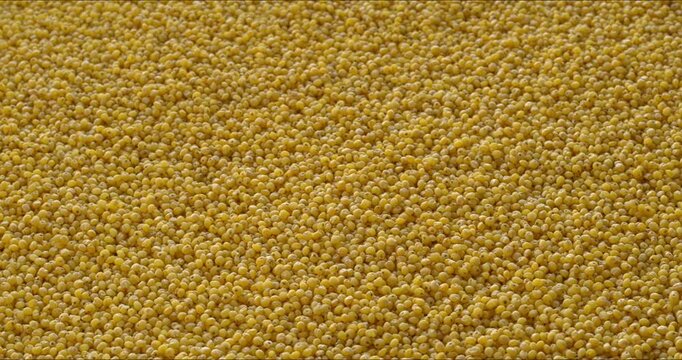 Raw millet groats as background texture. Camera slide.