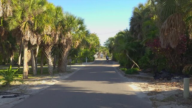 Florida travel concept. Car POV driving on Casey Key scenic road with tropical nature and wealthy coastal houses.