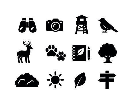 Wildlife Observation Icons. Wildlife observation. Solid icon set of wildlife observation: binoculars, camera, observation tower, bird silhouette,
