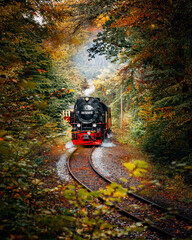 Historic Harz Narrow Gauge Steam Train "Brockenbahn" Winding Through Autumnal Forests, Nostalgic Locomotive with Steam Clouds in Natural Light