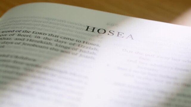 Bible Hosea book pages turn during a close up study of holy scripture. This detailed shot shows white paper flipping through the Old Testament minor prophet book in a modern religious setting.