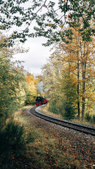 Historic Harz Narrow Gauge Steam Train 