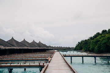 Cozy Tropical Island Hut Nestled in Lush Palm Trees, Rustic Exotic Beach Cabin in Warm Natural Sunlight