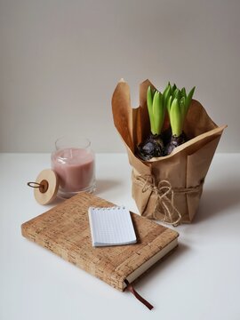 Minimalistic still life with young green plant sprouts in a pot wrpped in kraft paper, notebook and candle on a white background. Cozy home workspace concept, planning, mindfulness, slow living, new b