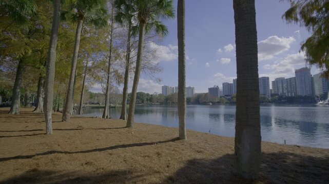 Nature scene Lake Eola Orlando shot in 4k 24p prores raw