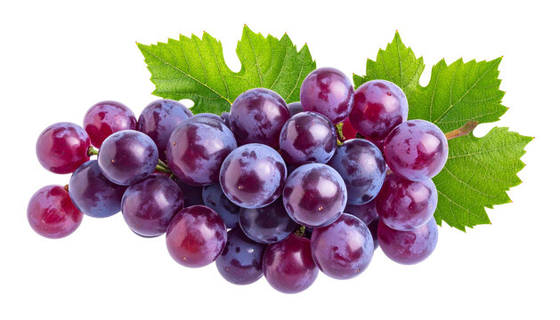 A close-up shot of a cluster of ripe purple grapes, with vibrant green leaves, against a stark black background