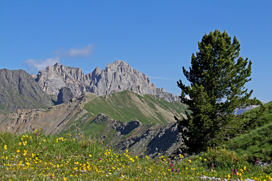 Il Collac e il Passo San Nicol&ograve; (Val di Fassa, Trentino)