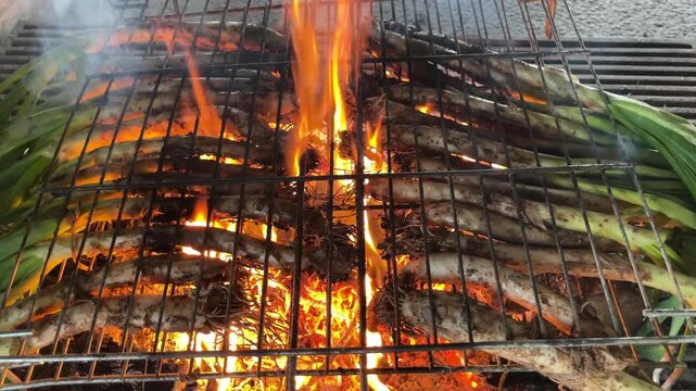 Cal&ccedil;ots Cooking on Open Fire During Traditional Catalan Barbecue