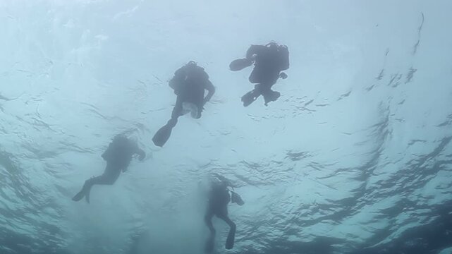 A group of divers explores the underwater world, descending into the clear, blue ocean. Sunlight filters from above as they venture deeper into the sea.
