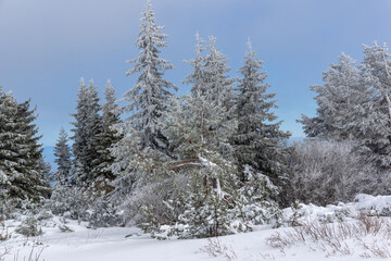 Winter Landscape of Vitosha Mountain, Bulgaria